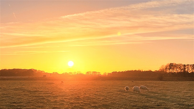 Natuur Hondsrug Drenthe – wandelen en fietsen