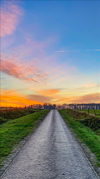 Natuur Hondsrug Drenthe – wandelen en fietsen