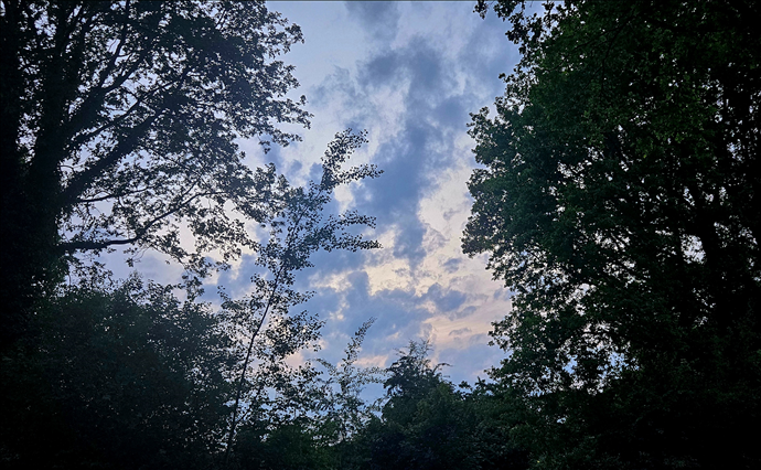 Natuur Hondsrug Drenthe – wandelen en fietsen